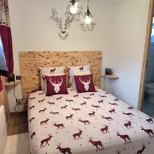 https://la-sapinette.hotels-rhonealpes.com